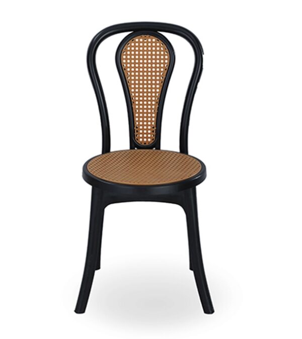 New Classic Chair Wood Insert Black